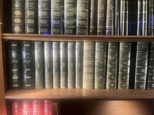 Shelves of old leather-bound books