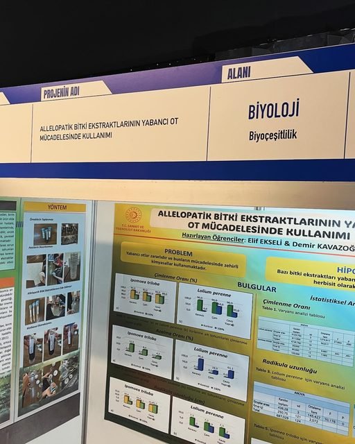 Project title board and poster